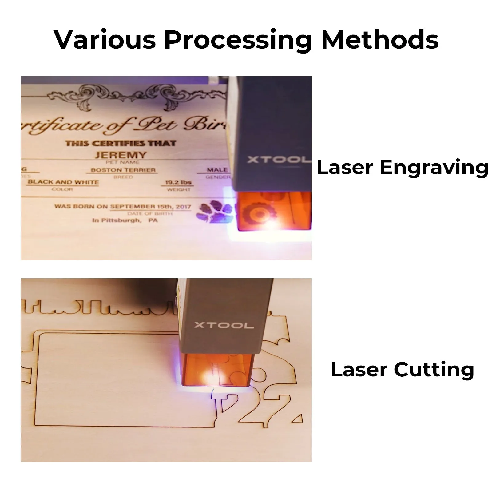 1/4" Technological Plywood Sheets (4pcs)