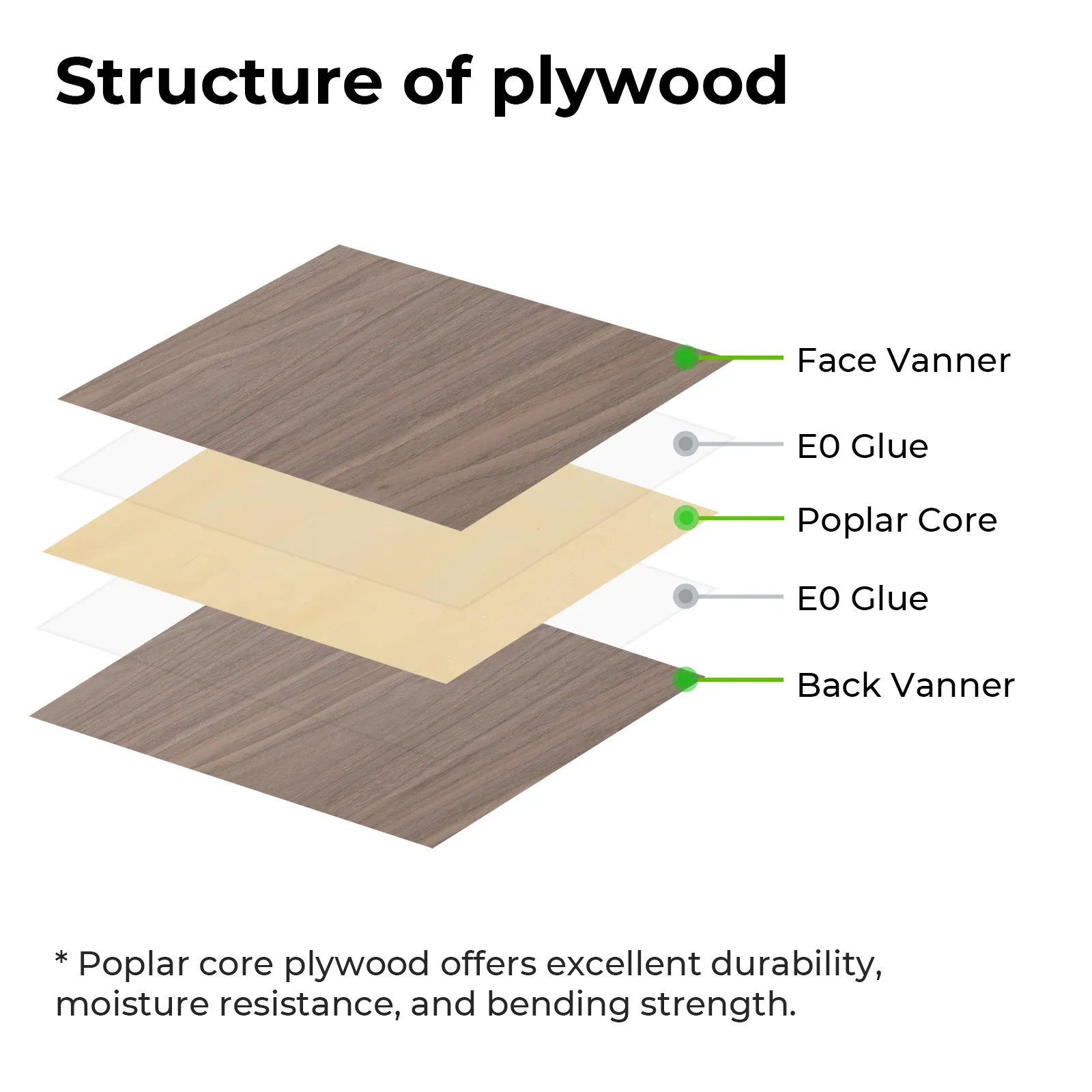 1/8" Walnut Plywood Sheets (18pcs)