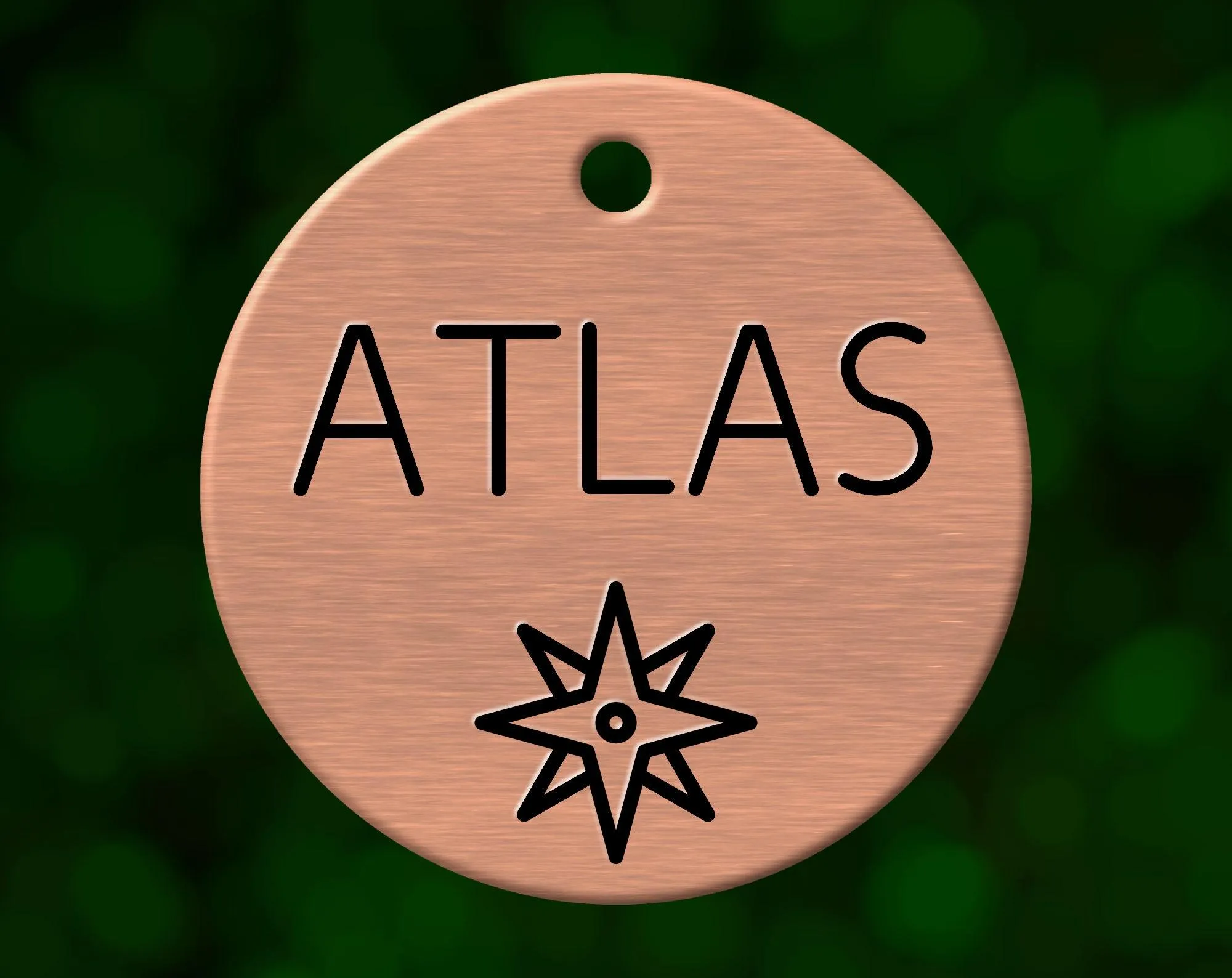 Compass Dog Tag