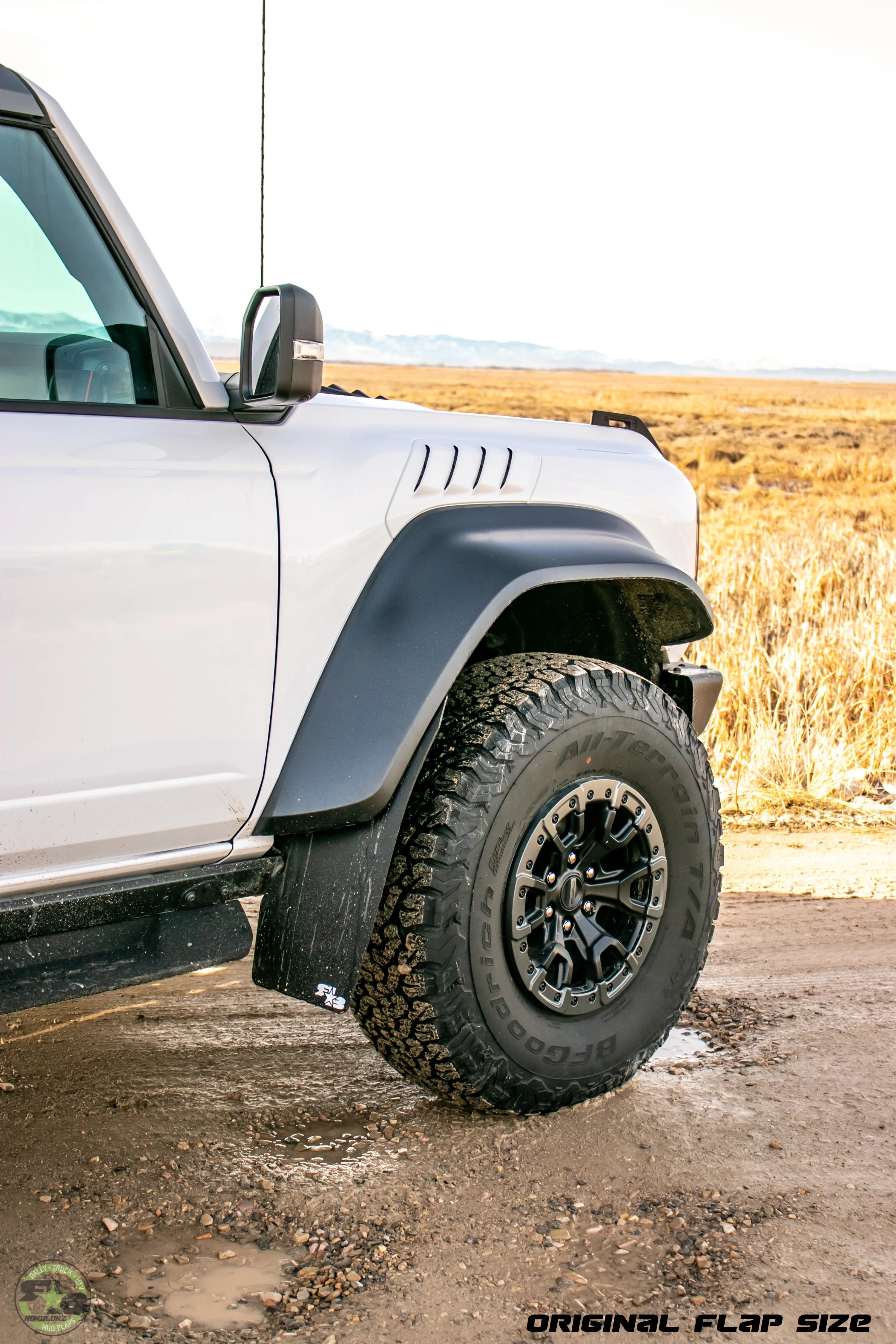 Ford Bronco RAPTOR 2022  Mud Flaps