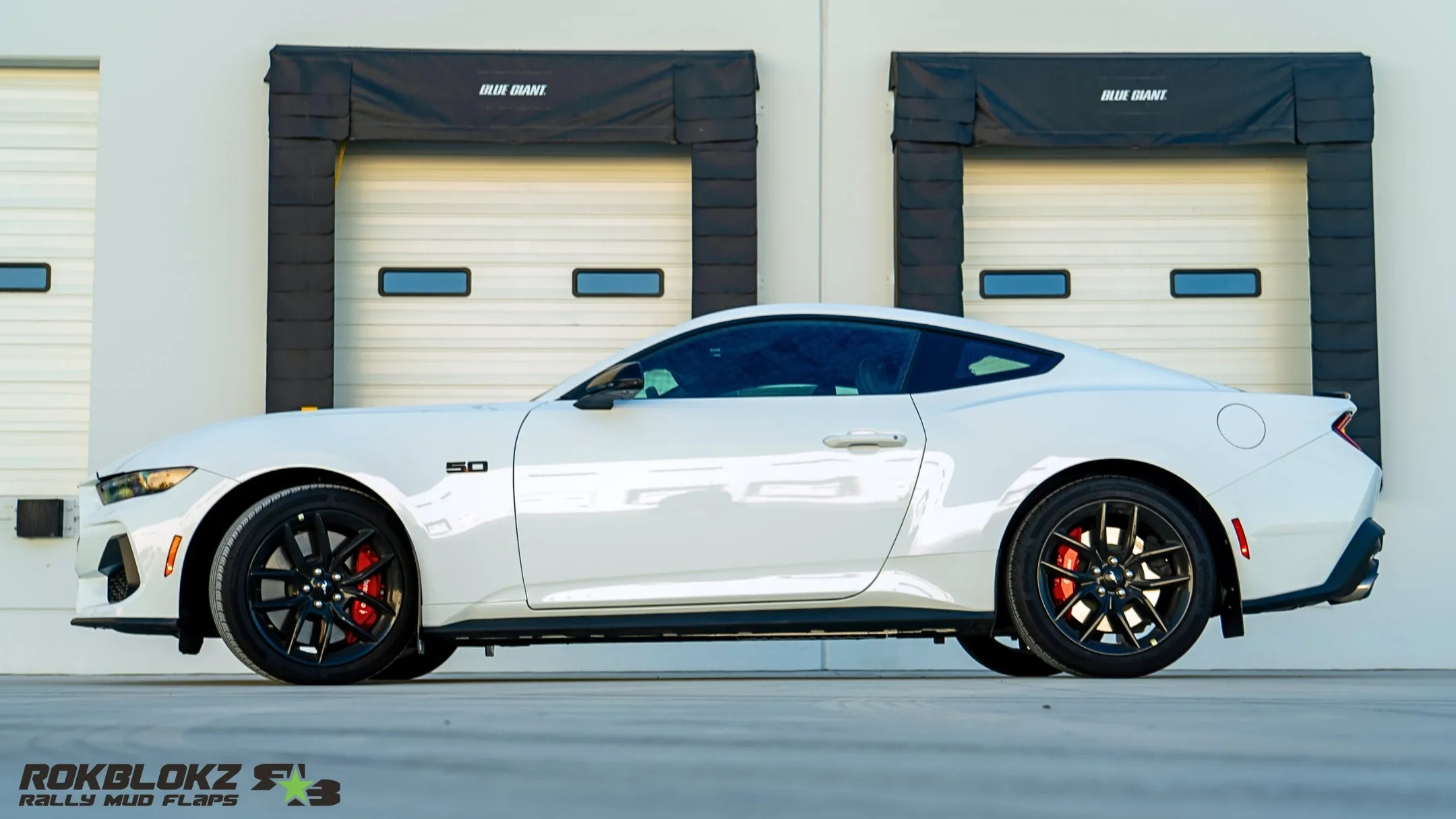 Ford Mustang Rally Mud Flaps 2024 