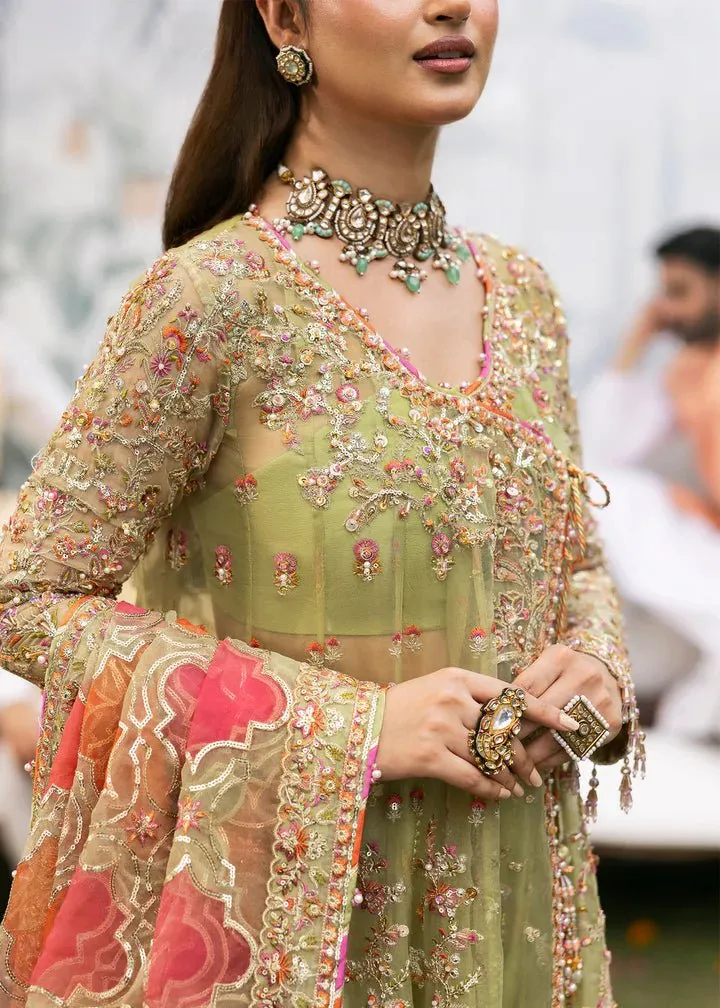 Kanwal Malik | Maahi Wedding Festive '24 | AYAT