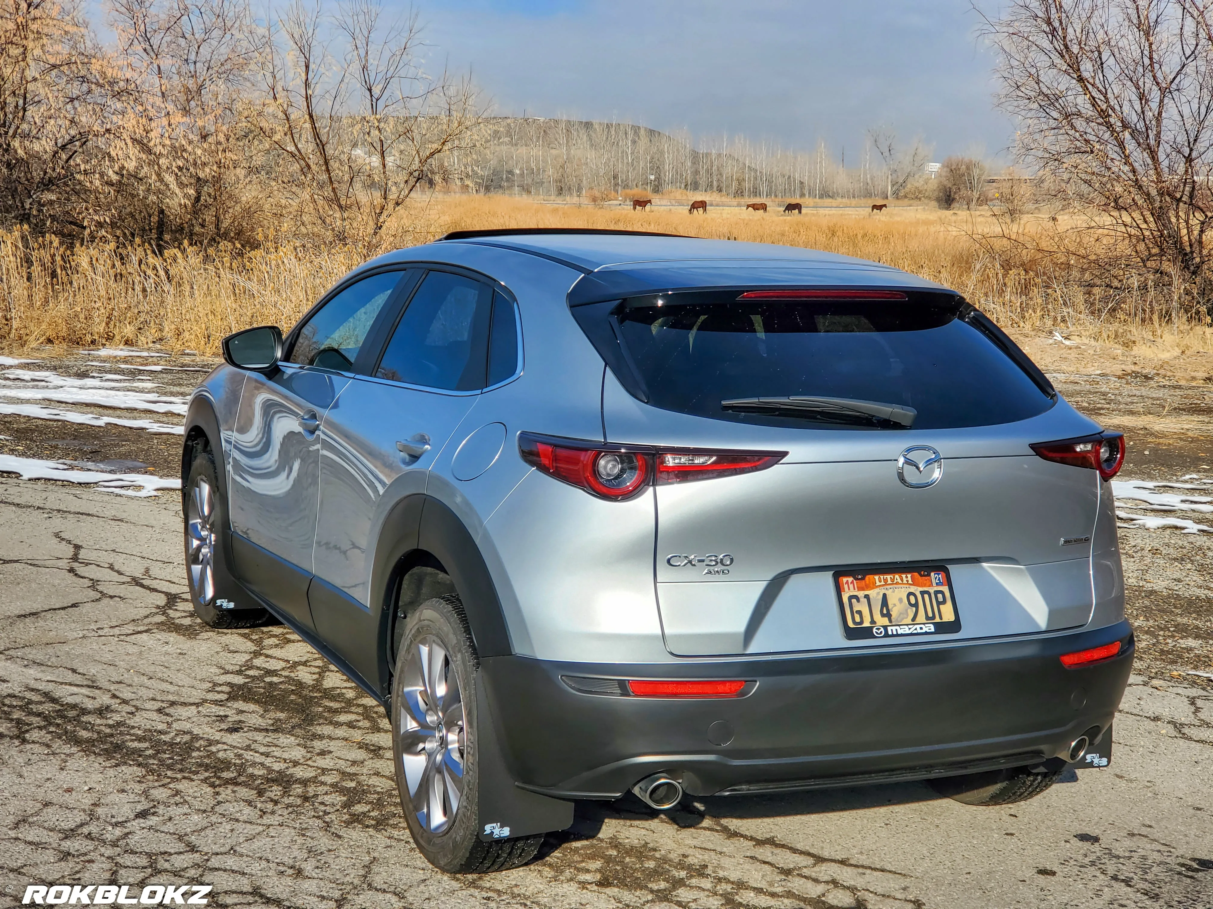 Mazda CX-30 2020  Rally Mud Flaps