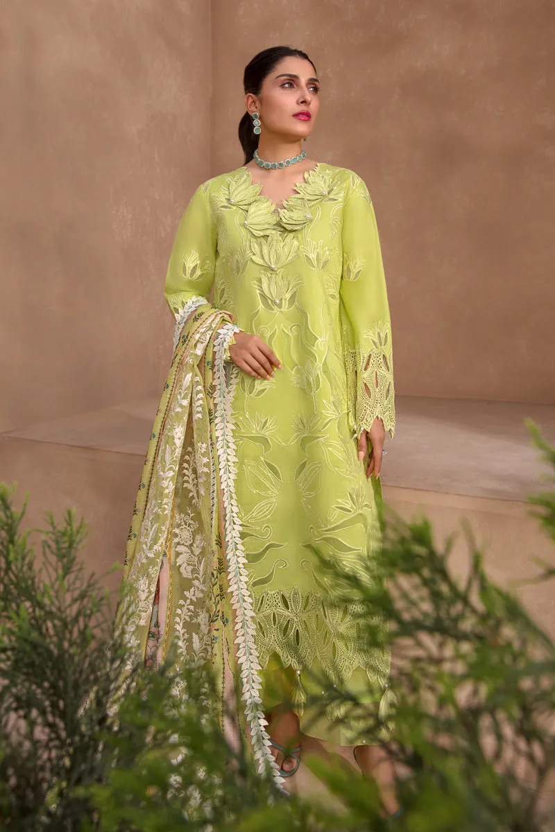 Rang Rasiya Premium Eid Lawn Collection – Lime