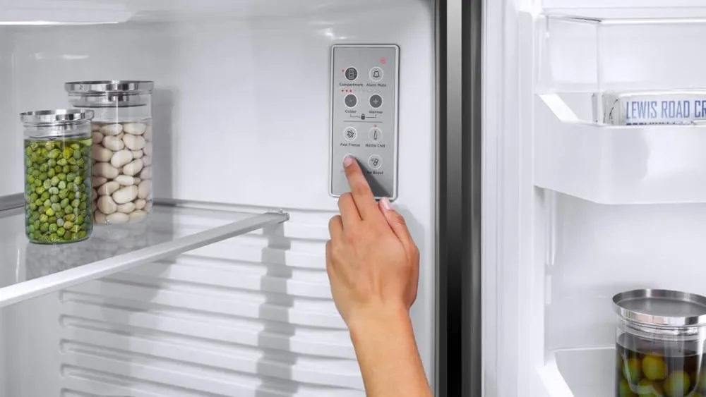 RF170WDLJX5N - REFRIGERATORS - Fisher & Paykel - Bottom Mount - Stainless Steel - Open Box
