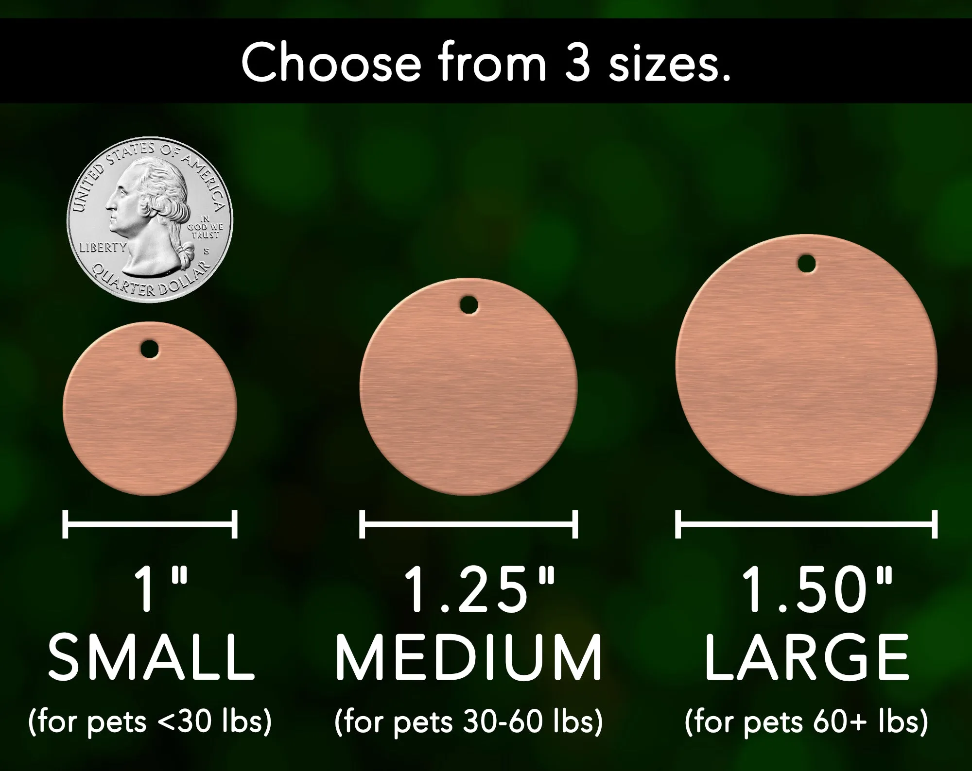 Seashell Dog Tag