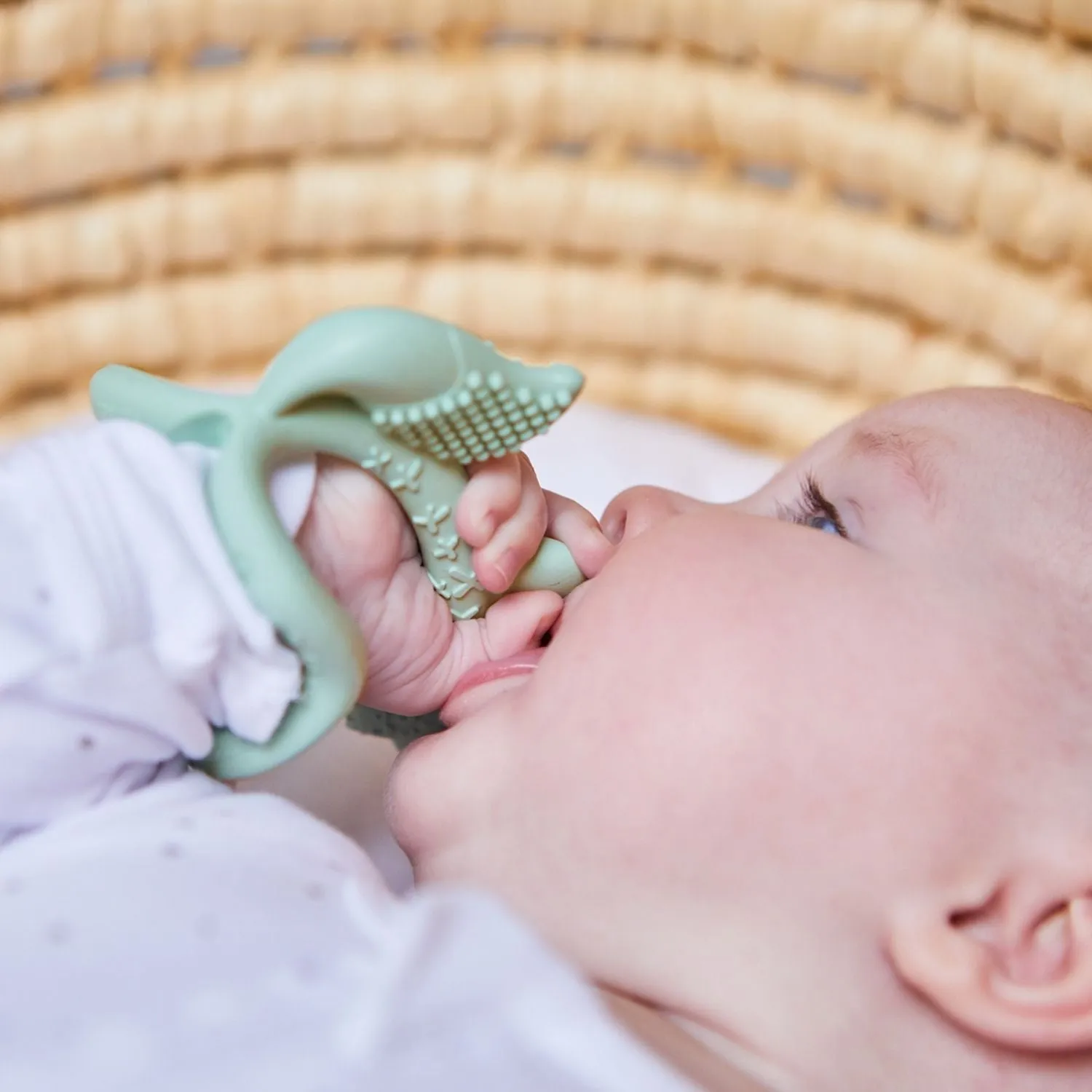 Silicone Wrist Teether Fox Sage Green