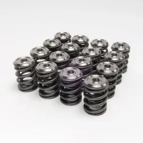 Skunk2 Alpha Series Valve Spring and Titanium Retainer Kit - Honda K20/K24/F20C/F22C - 344-05-1410