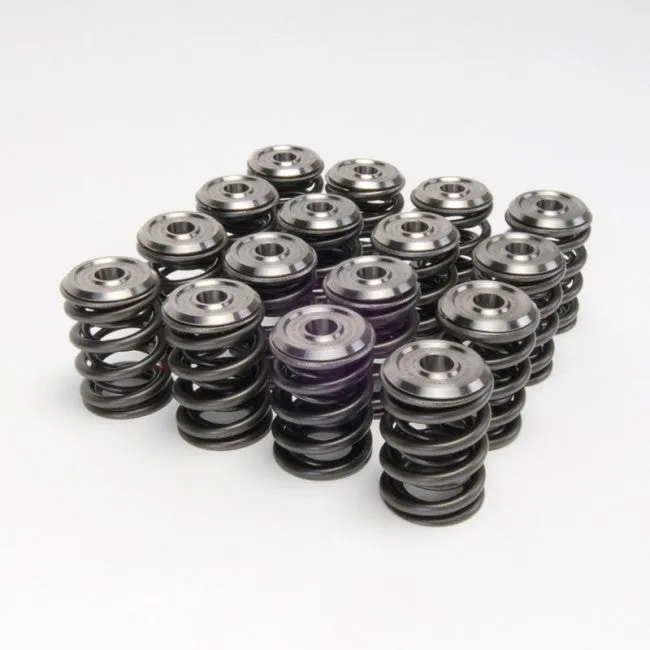 Skunk2 Alpha Series Valve Spring and Titanium Retainer Kit - Honda K20/K24/F20C/F22C - 344-05-1410