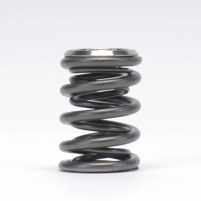 Skunk2 Alpha Series Valve Spring and Titanium Retainer Kit - Honda K20/K24/F20C/F22C - 344-05-1410