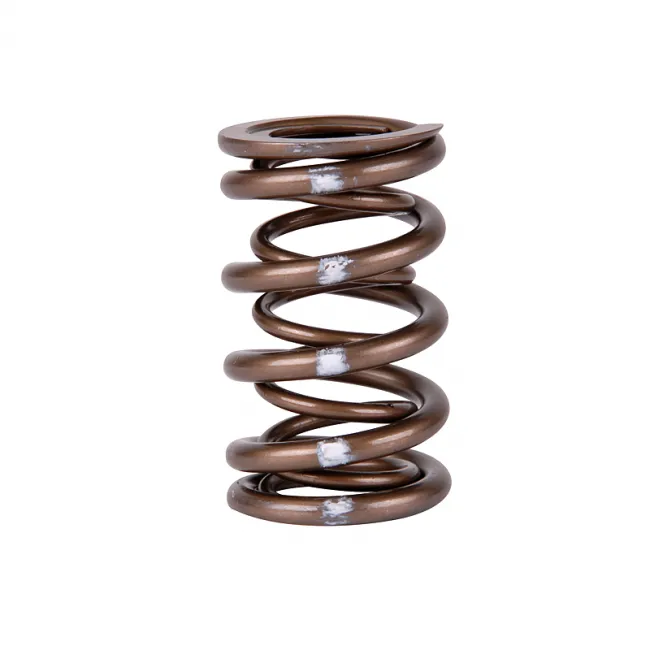 Skunk2 Pro XP Valve Spring Set - Honda K20/K24/F20C/F22C - 311-05-7380