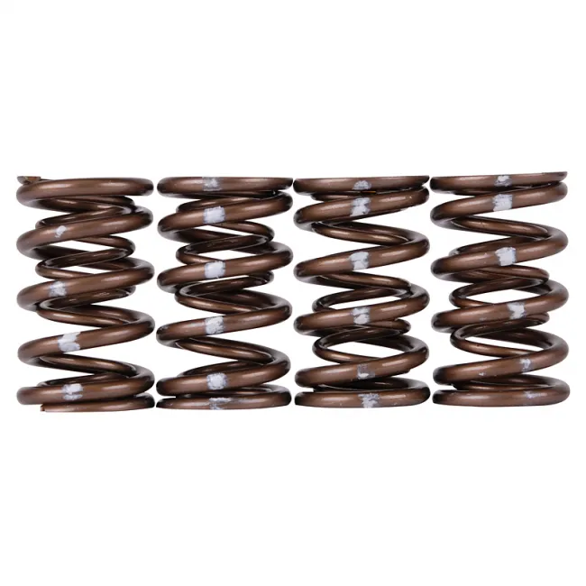 Skunk2 Pro XP Valve Spring Set - Honda K20/K24/F20C/F22C - 311-05-7380