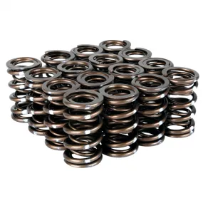 Skunk2 Pro XP Valve Spring Set - Honda K20/K24/F20C/F22C - 311-05-7380